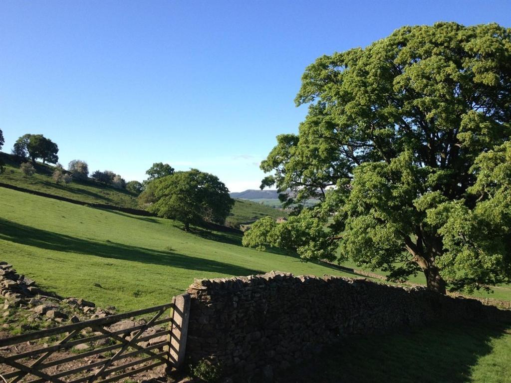 Throstle Nest Farm Guest house